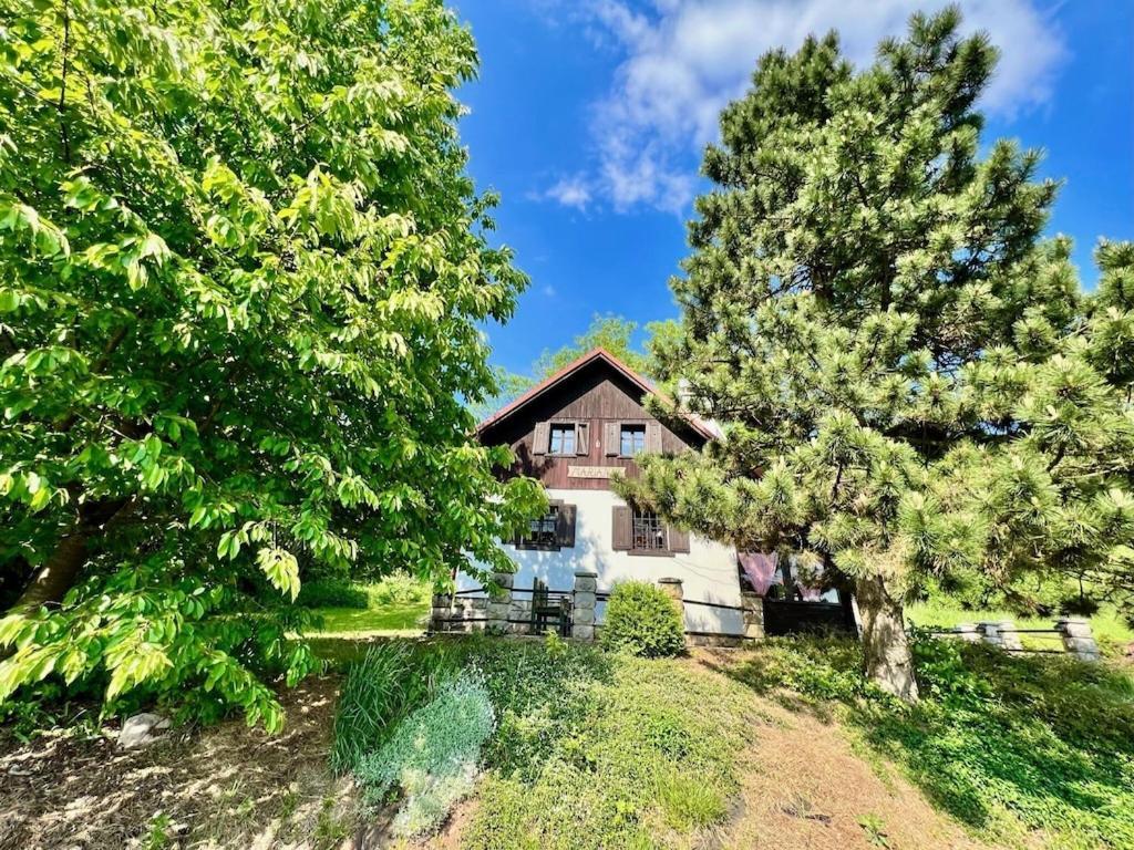 Holiday Home Marianne Velke Svatonovice Экстерьер фото